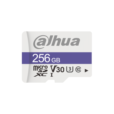 Dahua Micro SD Card 256GB C100